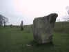 101-0104_IMG.JPG (83495 bytes)