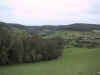 113-1376_IMG.JPG (87731 bytes)